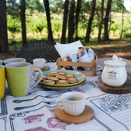 Il Trullo Del Contadino * Ostuni