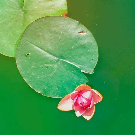 Il Trullo Del Contadino