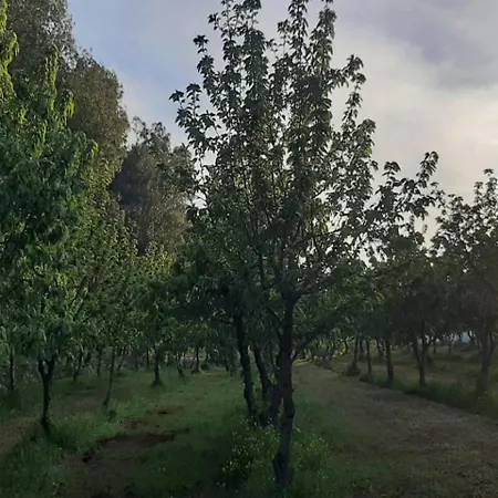 Il Trullo Del Contadino *
