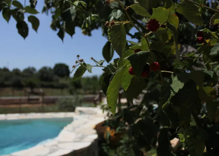 Il Trullo Del Contadino *