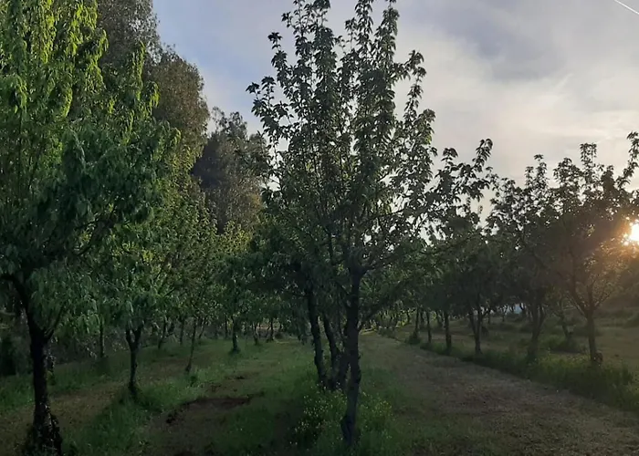 Il Trullo Del Contadino *